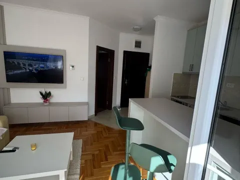 Izdavanje, jednosoban stan, 44m², Budva, Crna Gora - image 4