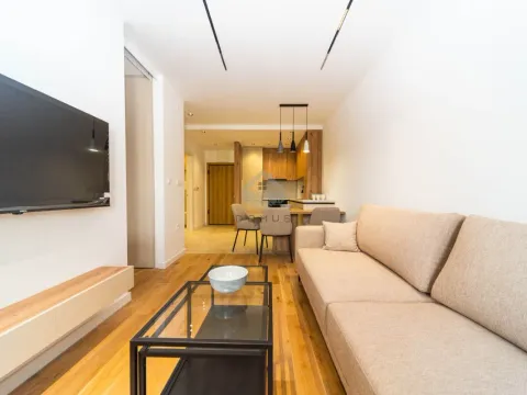 Rent, one bedroom apartment, 45m², Tološi, Podgorica - image 1