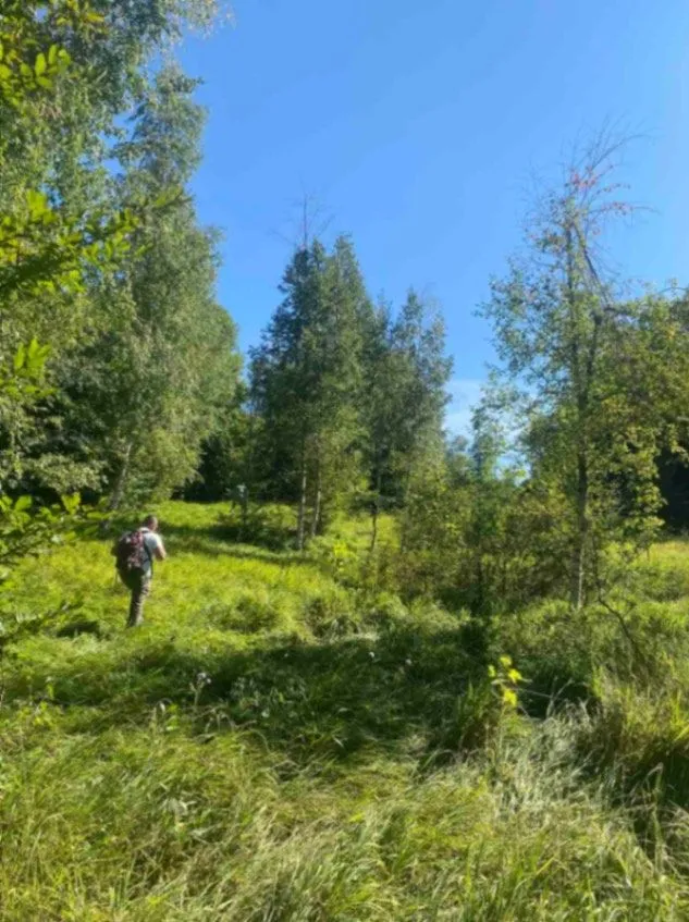 Sale, land lot, 157000m², Padež, Kolašin