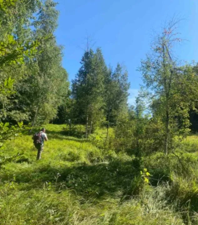 Prodaja, plac, 157000m², Padež, Kolašin