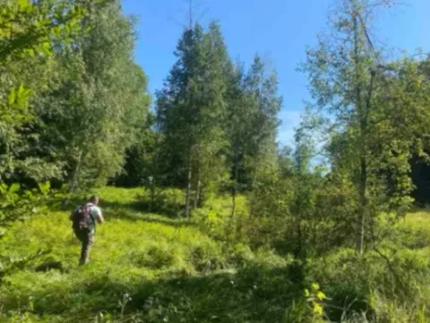 Prodaja, plac, 157000m², Padež, Kolašin