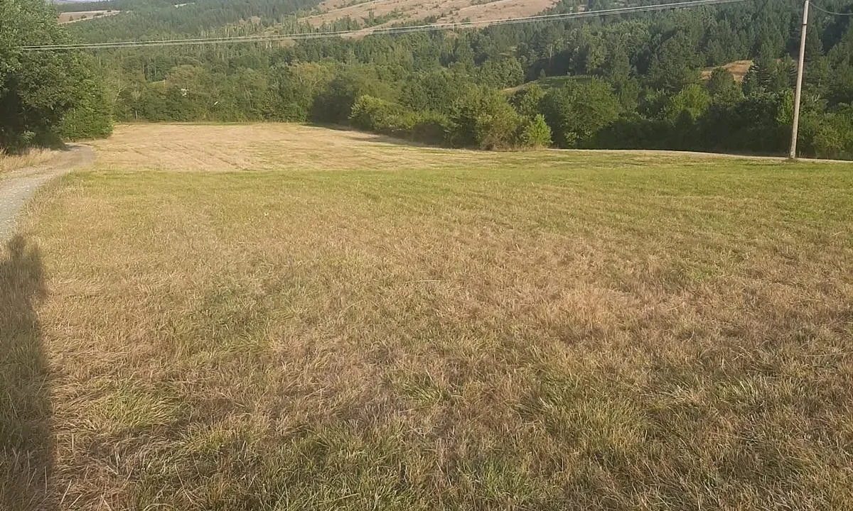 Sale, land lot, 1000m², Tometino Polje, Požega