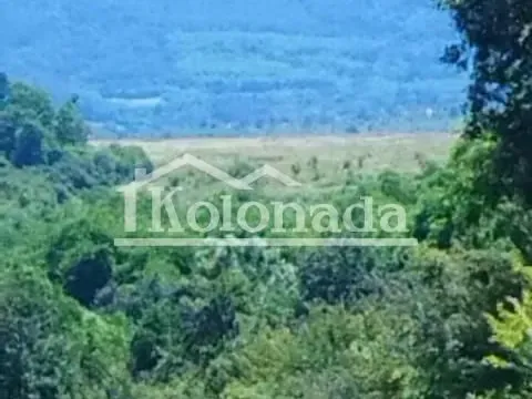 Sale, land lot, 21800m², Babe, Sopot - image 4