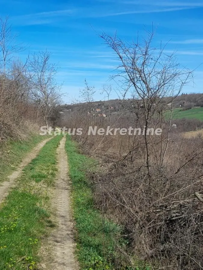 Prodaja, plac, 29472m², Sremski Karlovci, Novi Sad