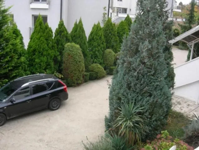 Izdavanje, kuća, 300m², Savski Venac, Beograd