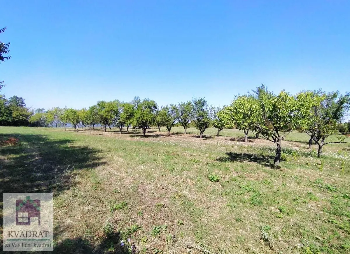 Prodaja, plac, 5900m², Konatice, Obrenovac