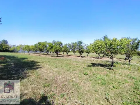 Sale, land lot, 5900m², Konatice, Obrenovac - image 9