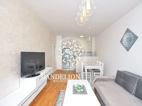 Izdavanje, jednosoban stan, 46m², Stari Aerodrom, Podgorica - image 2