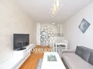 Izdavanje, jednosoban stan, 46m², Stari Aerodrom, Podgorica - image 2