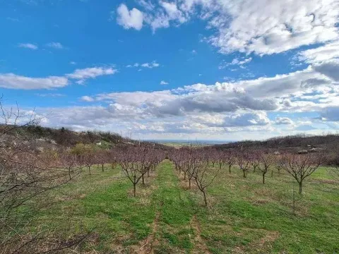 Sale, land lot, 11894m², Banja Vrdnik, Irig - image 3