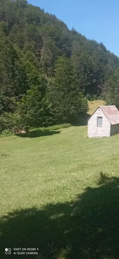Prodaja, plac, 99100m², Donja Bukovica, Šavnik