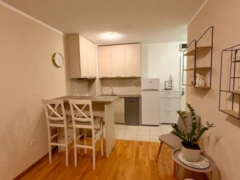 Izdavanje, jednosoban stan, 33m², Zabjelo, Podgorica - image 4