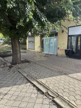 Pogled na ulaz u poslovni prostor sa trotoarom i drvetom u prvom planu. - image 10