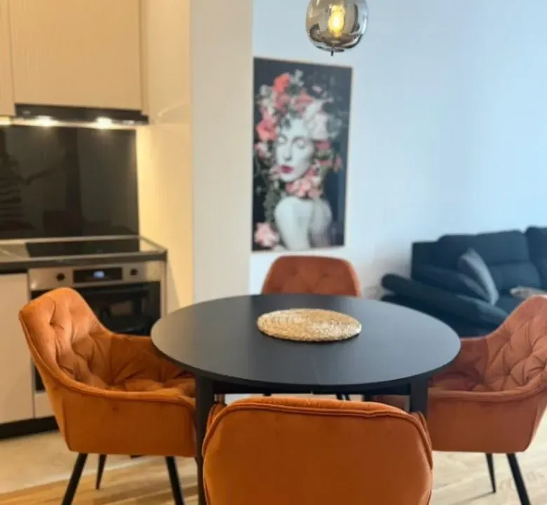 Izdavanje, jednosoban stan, 50m², Stari Aerodrom, Podgorica