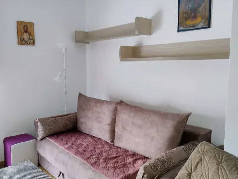 Rent, one bedroom apartment, 29m², Rastovac, Nikšić - image 2