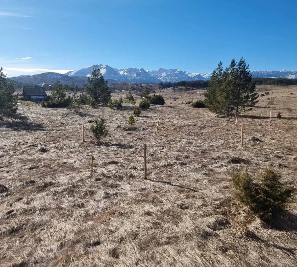 Prodaja, plac, 2200m², Žabljak, Crna Gora