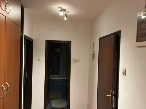 Sale, house, 256m², Bukovička Banja, Arandjelovac - image 12