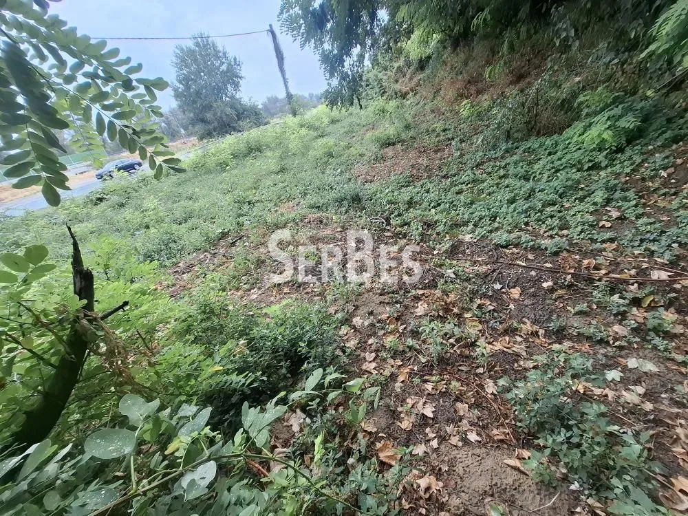 Prodaja, plac, 591m², Sremski Karlovci, Novi Sad