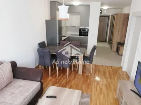 Izdavanje, dvosoban stan, 49m², Hala Pionir, Palilula Sve Podlokacije - image 3