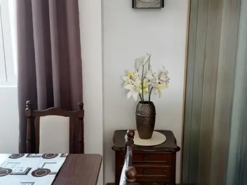 Rent, one bedroom apartment, 52m², Velji Vinogradi, Budva - image 5