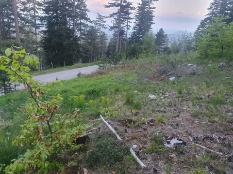 Prodaja, plac, 1130m², Centar, Zlatibor - image 4