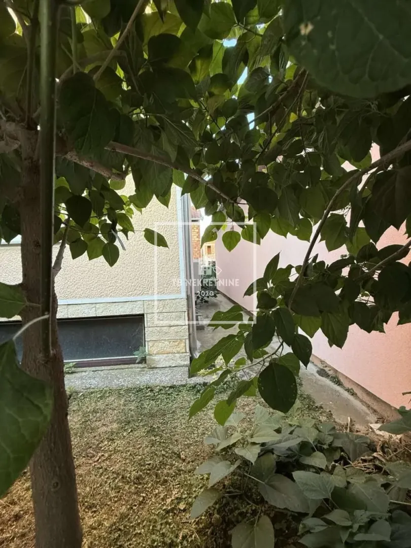 Pogled kroz krošnju drveta na dvorište i fasadu kuće.
