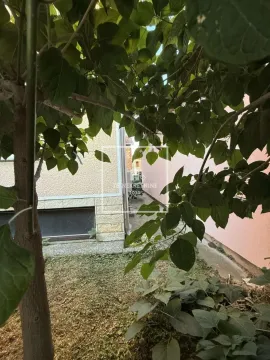 Pogled kroz krošnju drveta na dvorište i fasadu kuće. - image 14