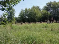 Izdavanje, plac, 9330m², Dudovi, Obrenovac - image 4