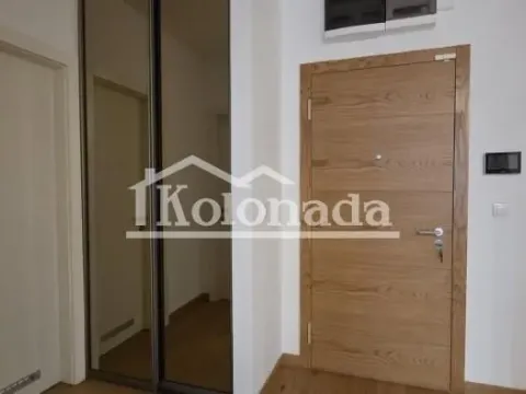 Izdavanje, dvosoban stan, 55m², Novi Beograd Blok 65, Novi Beograd Sve Podlokacije - image 8