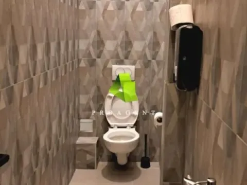 Izdavanje, poslovni prostor, 450m², Medijana, Niš - image 7