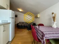 Izdavanje, garsonjera, 30m², Stari Aerodrom, Podgorica - image 7