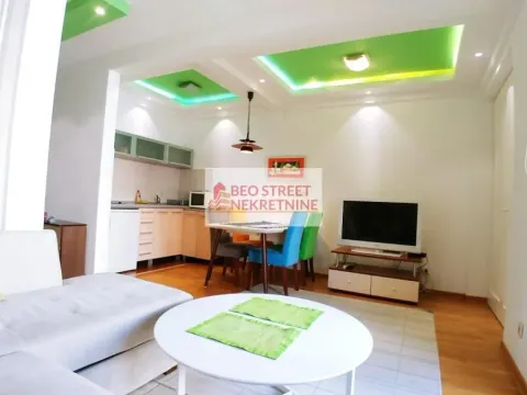 Izdavanje, jednosoban stan, 50m², Vračar Hram, Vračar Sve Podlokacije - image 3