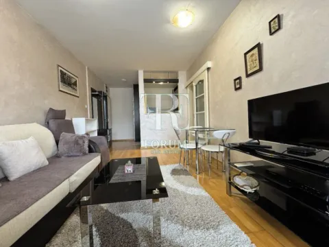 Izdavanje, jednosoban stan, 45m², Preko Morače, Podgorica - image 5