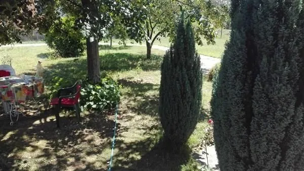 Dvorište sa zelenilom, ukrasnim drvećem i baštenskim stolom u hladovini.