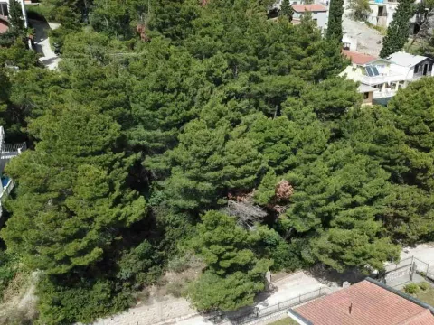 Prodaja, plac, 840m², Zeleni Pojas, Bar - image 3