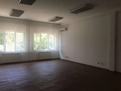 Izdavanje, poslovni prostor, 200m², Zemun Bačka, Zemun Sve Podlokacije - image 3