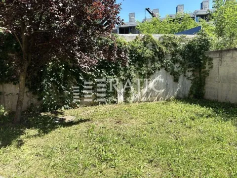 Grassy yard with greenery and a wall in the background. - image 18