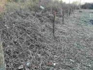 Sale, land lot, 22323m², Ulcinj, Crna Gora - image 3