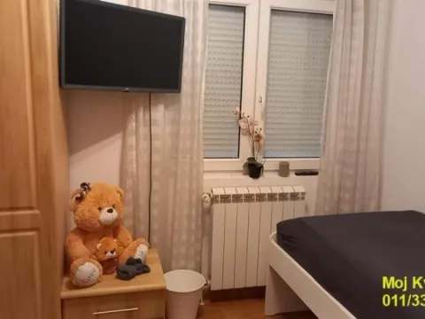 Izdavanje, kuća, 156m², Zvezdarska Šuma, Zvezdara Sve Podlokacije - image 5