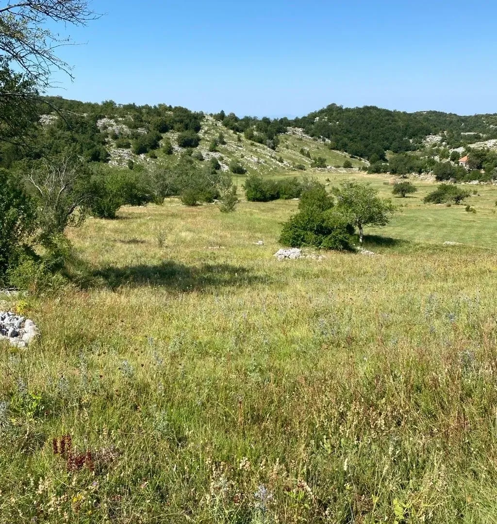 Sale, land lot, 30000m², Kuči, Podgorica