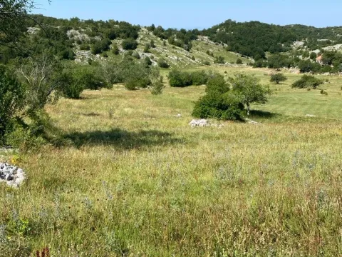Sale, land lot, 30000m², Kuči, Podgorica - image 9