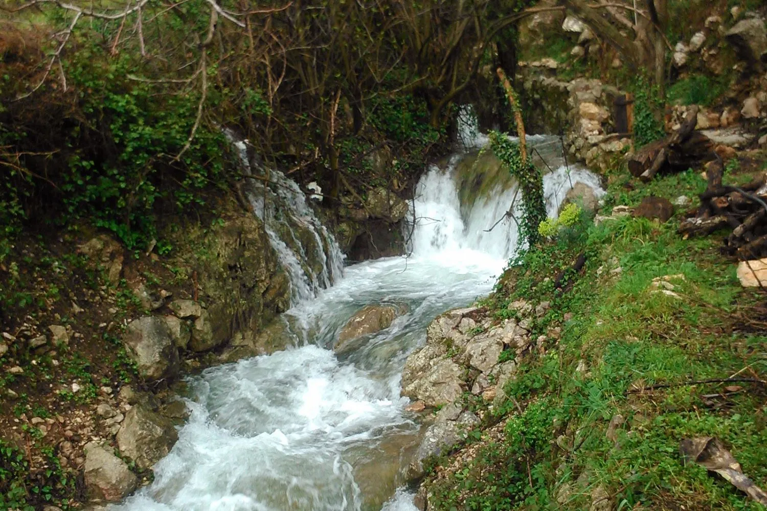 Prodaja, kuća, 140m², Buljarica, Budva