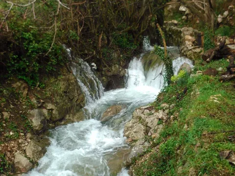 Sale, house, 140m², Buljarica, Budva - image 5