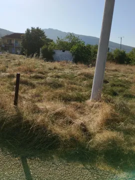 Zemljište in Beri
