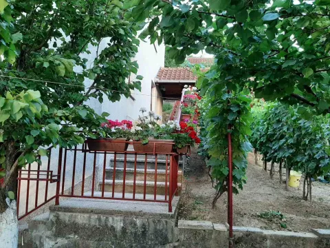 Prodaja, kuća, 210m², Sremska Kamenica, Petrovaradin - image 5