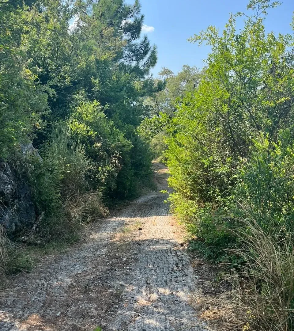Prodaja, plac, 758m², Kavač, Kotor