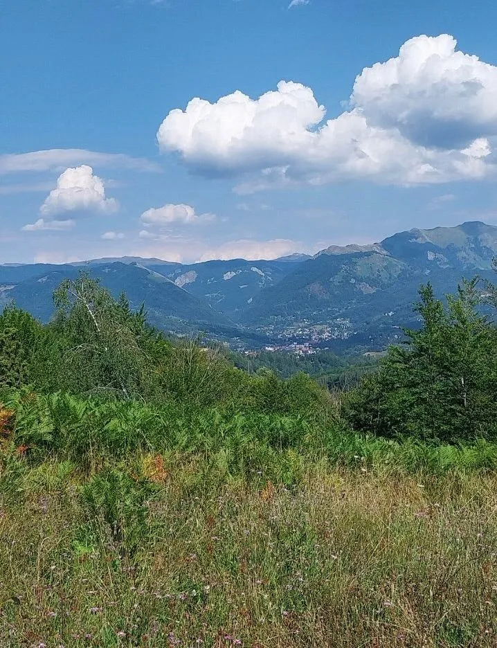 Prodaja, plac, 35000m², Kolašin, Crna Gora