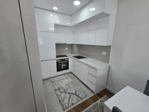 Izdavanje, jednosoban stan, 47m², Stari Aerodrom, Podgorica - image 12