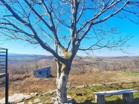 Sale, house, 48m², Sremski Karlovci, Novi Sad - image 15