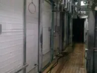 Izdavanje, poslovni prostor, 3500m², Bečmen, Surčin - image 10